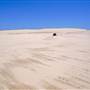 Stockton Dunes - Worimi National Park