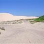 Stockton Dunes - Worimi National Park