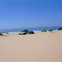 Stockton Dunes - Worimi National Park