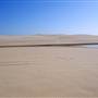 Stockton Dunes - Worimi National Park