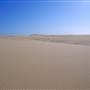 Stockton Dunes - Worimi National Park