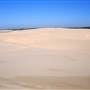 Stockton Dunes - Worimi National Park