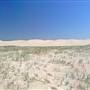 Stockton Dunes - Worimi National Park