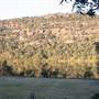Wisemans Ferry