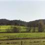 Tocal Historic Homestead