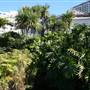 Arthur McElhone Reserve