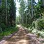 Wallingat National Park