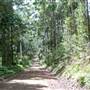 Wallingat National Park
