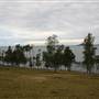 Wallis Lake - Coomba Park
