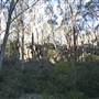 Lithgow Township & Surrounds