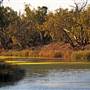 Menindee