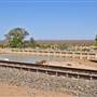 Menindee