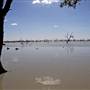 Menindee