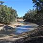Menindee
