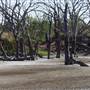Menindee