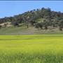 Liverpool Plains