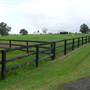 Lomar Park Stud