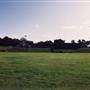 Macquarie University