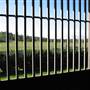 Malniri Park Stud