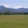 Murwillumbah