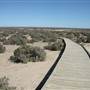 Mungo National Park