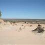 Mungo National Park