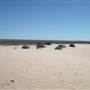 Mungo National Park