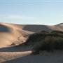 Mungo National Park