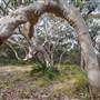 Murramarang National Park