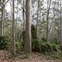 Murramarang National Park