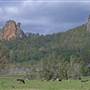Nimbin