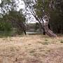 Murrumbidgee River
