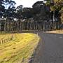 Mystery Bay