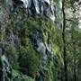 New England National Park