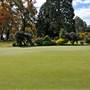 Orange and surrounds