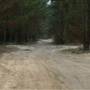 Newnes State Forest