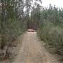 Newnes State Forest