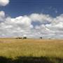 Menangle Area
