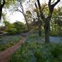 Milton Park Country House Hotel & Spa