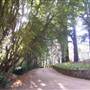 Milton Park Country House Hotel & Spa