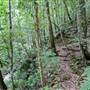 Minnamurra Falls