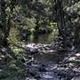 Minnamurra Falls