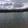 Minnamurra River