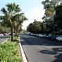 Moore Park Road