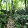 Mount Keira Scout Camp File 1