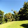 Mount Keira Scout Camp File 1
