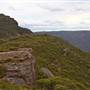 Mt Banks Summit Walk & Picnic Area