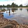 Navua Reserve - Grose River