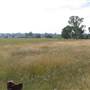 Riverstone Farmland & Eastern Creek