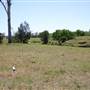 Riverstone Farmland & Eastern Creek